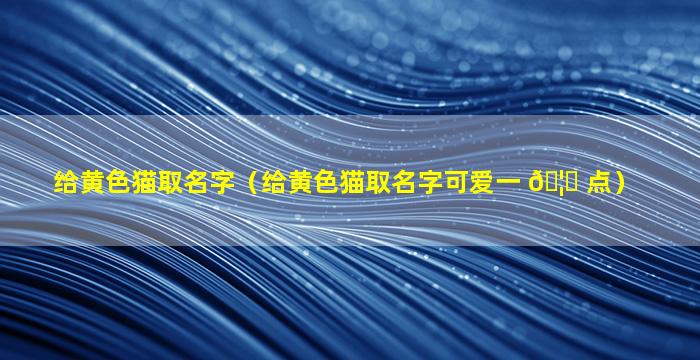 给黄色猫取名字（给黄色猫取名字可爱一 🦉 点）